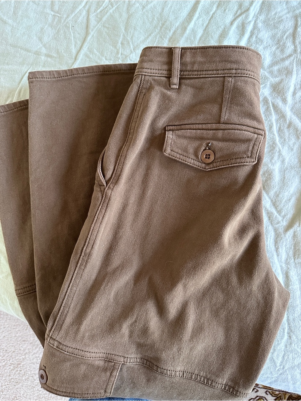 Aritzia Brown Cargo Pants
